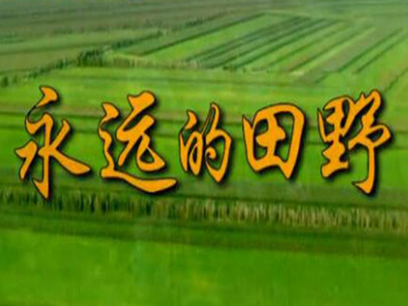 永远的田野演员表大全及详细步骤指南