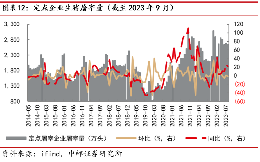 土元收购价格深度分析与观点阐述，市场趋势与影响因素解析