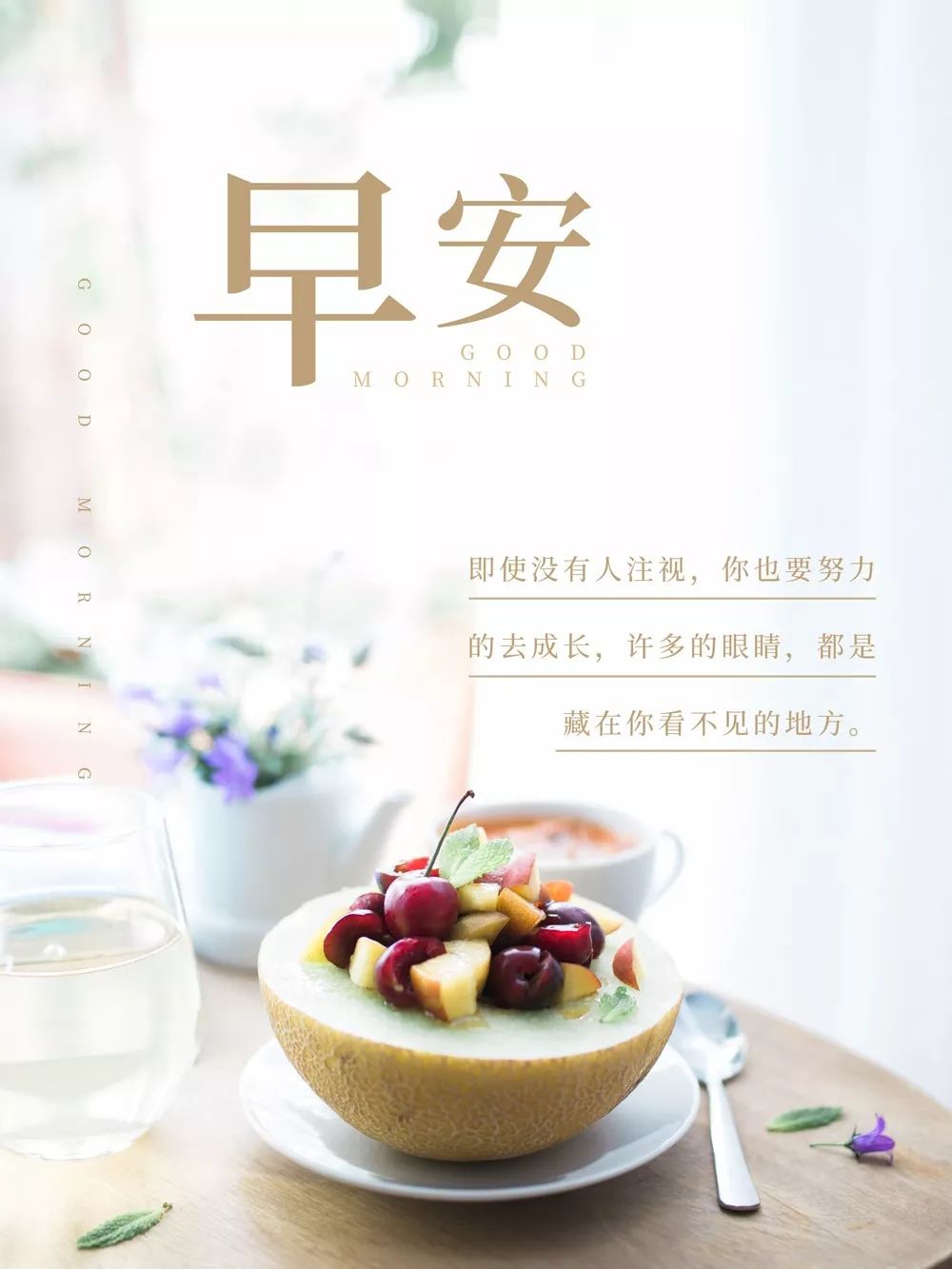 早安心语最新观点阐述与解析